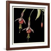 Graphic Fuchsia III-Jennifer Goldberger-Framed Art Print