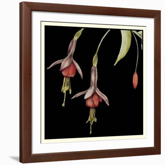 Graphic Fuchsia III-Jennifer Goldberger-Framed Art Print