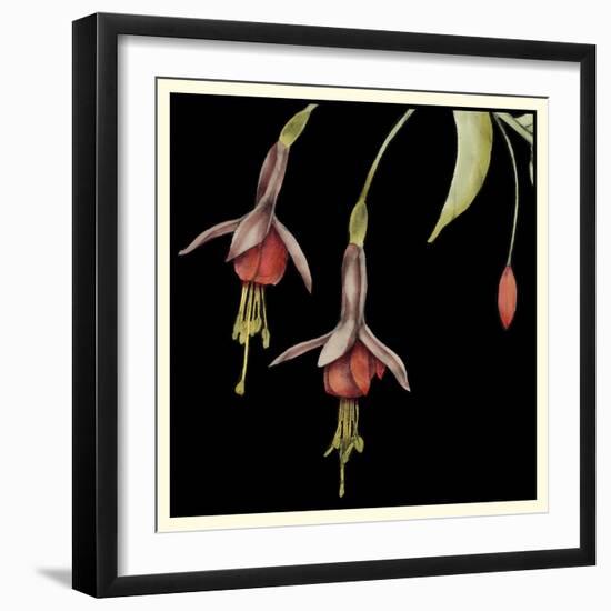 Graphic Fuchsia III-Jennifer Goldberger-Framed Art Print