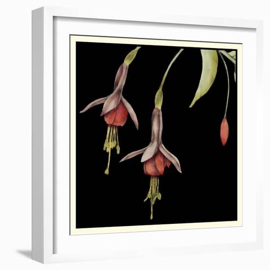 Graphic Fuchsia III-Jennifer Goldberger-Framed Art Print