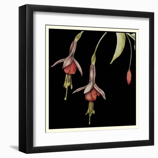 Graphic Fuchsia III-Jennifer Goldberger-Framed Art Print