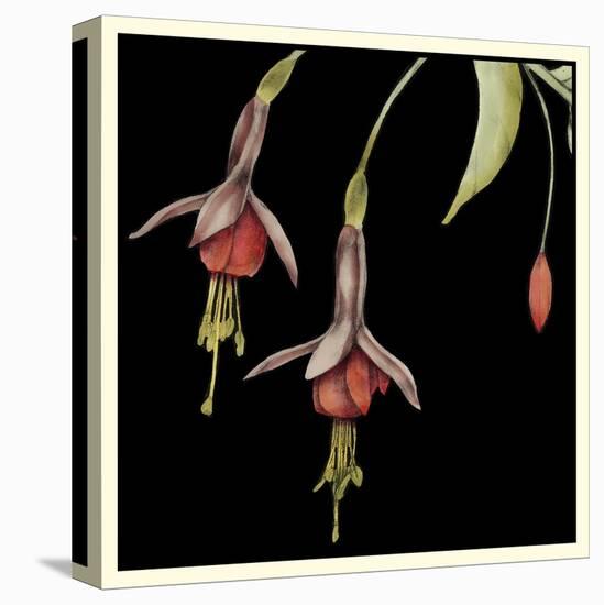 Graphic Fuchsia III-Jennifer Goldberger-Stretched Canvas