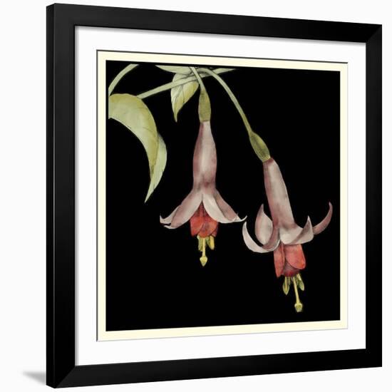 Graphic Fuchsia IV-Jennifer Goldberger-Framed Art Print