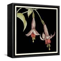 Graphic Fuchsia IV-Jennifer Goldberger-Framed Stretched Canvas