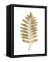 Graphic Gold Fern III-Studio W-Framed Stretched Canvas