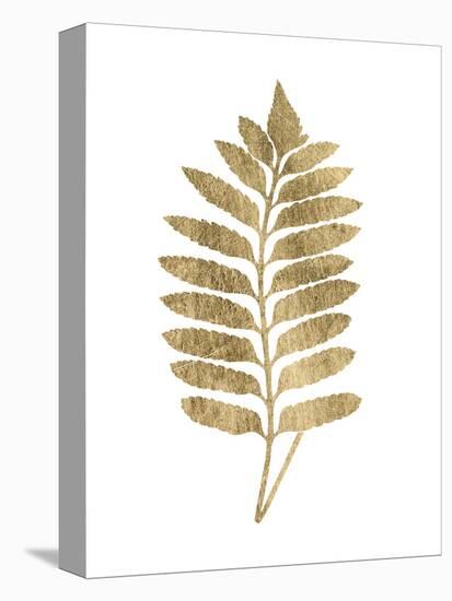 Graphic Gold Fern III-Studio W-Stretched Canvas