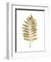 Graphic Gold Fern III-Studio W-Framed Art Print