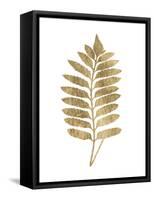 Graphic Gold Fern III-Studio W-Framed Stretched Canvas