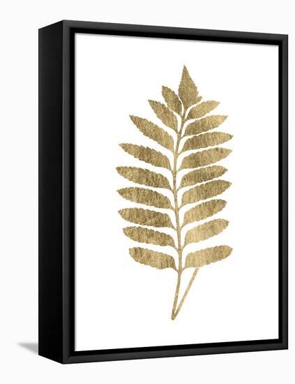 Graphic Gold Fern III-Studio W-Framed Stretched Canvas