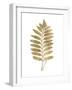 Graphic Gold Fern III-Studio W-Framed Art Print