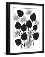 Graphic Nigella-Sophie Ledesma-Framed Giclee Print