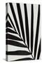 Graphic palm leaf_1-1x Studio III-Stretched Canvas