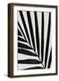 Graphic palm leaf_1-1x Studio III-Framed Photographic Print