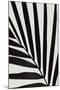 Graphic palm leaf_1-1x Studio III-Mounted Photographic Print