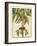 Graphic Palms II-Jennifer Goldberger-Framed Art Print