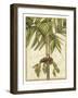 Graphic Palms II-Jennifer Goldberger-Framed Art Print