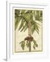 Graphic Palms II-Jennifer Goldberger-Framed Art Print