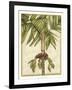 Graphic Palms II-Jennifer Goldberger-Framed Art Print