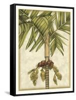 Graphic Palms II-Jennifer Goldberger-Framed Stretched Canvas