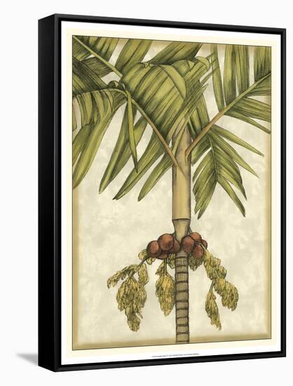 Graphic Palms II-Jennifer Goldberger-Framed Stretched Canvas