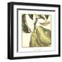 Graphic Pear-Vision Studio-Framed Art Print