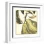 Graphic Pear-Vision Studio-Framed Art Print