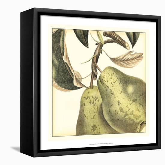 Graphic Pear-Vision Studio-Framed Stretched Canvas