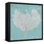 Graphic Sea Fan VI-Studio W-Framed Stretched Canvas