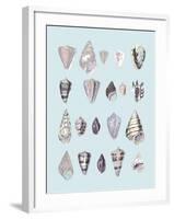 Graphic Seashells I-Joni Whyte-Framed Giclee Print