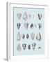 Graphic Seashells I-Joni Whyte-Framed Giclee Print