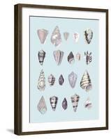 Graphic Seashells I-Joni Whyte-Framed Giclee Print