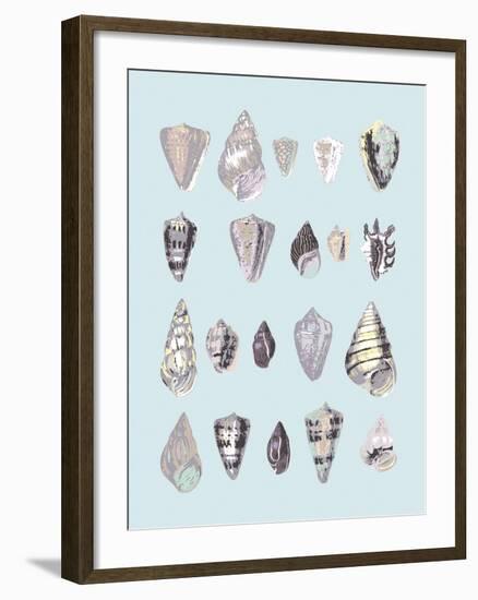 Graphic Seashells I-Joni Whyte-Framed Giclee Print