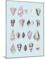 Graphic Seashells I-Joni Whyte-Mounted Giclee Print