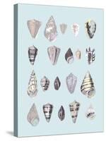 Graphic Seashells I-Joni Whyte-Stretched Canvas