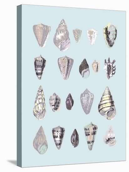 Graphic Seashells I-Joni Whyte-Stretched Canvas