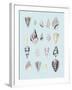 Graphic Seashells II-Joni Whyte-Framed Giclee Print