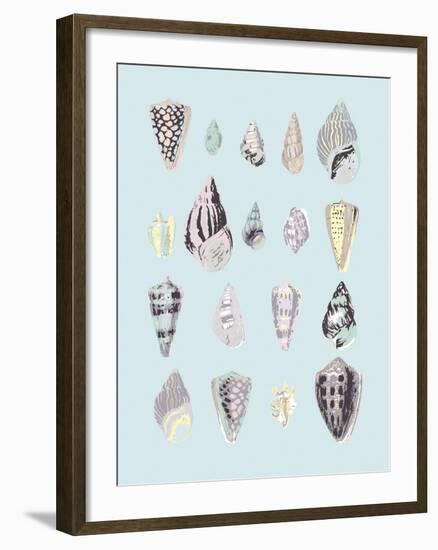 Graphic Seashells II-Joni Whyte-Framed Giclee Print