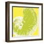 Graphic Shell II-N. Harbick-Framed Art Print