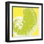 Graphic Shell II-N. Harbick-Framed Art Print