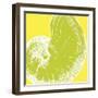 Graphic Shell II-N. Harbick-Framed Art Print