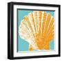 Graphic Shell IV-N. Harbick-Framed Art Print