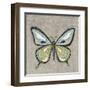 Graphic Spring Butterfly I-Jade Reynolds-Framed Art Print