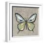 Graphic Spring Butterfly I-Jade Reynolds-Framed Art Print