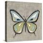 Graphic Spring Butterfly I-Jade Reynolds-Stretched Canvas