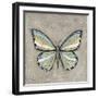 Graphic Spring Butterfly II-Jade Reynolds-Framed Art Print