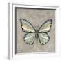 Graphic Spring Butterfly II-Jade Reynolds-Framed Art Print