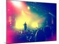 Wood Mount
