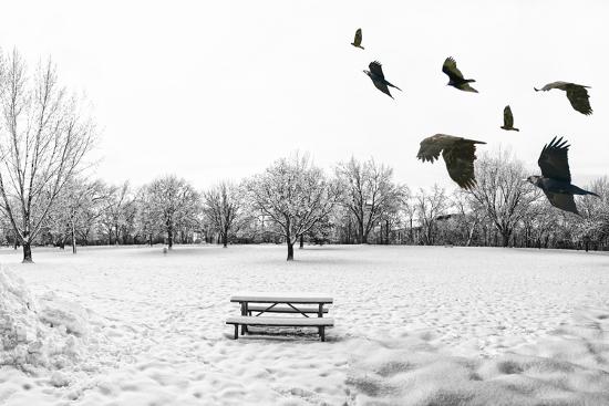 Premium Photographic Print, , large