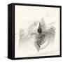 Graphics 6748-Rica Belna-Framed Stretched Canvas