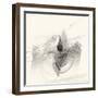 Graphics 6748-Rica Belna-Framed Giclee Print